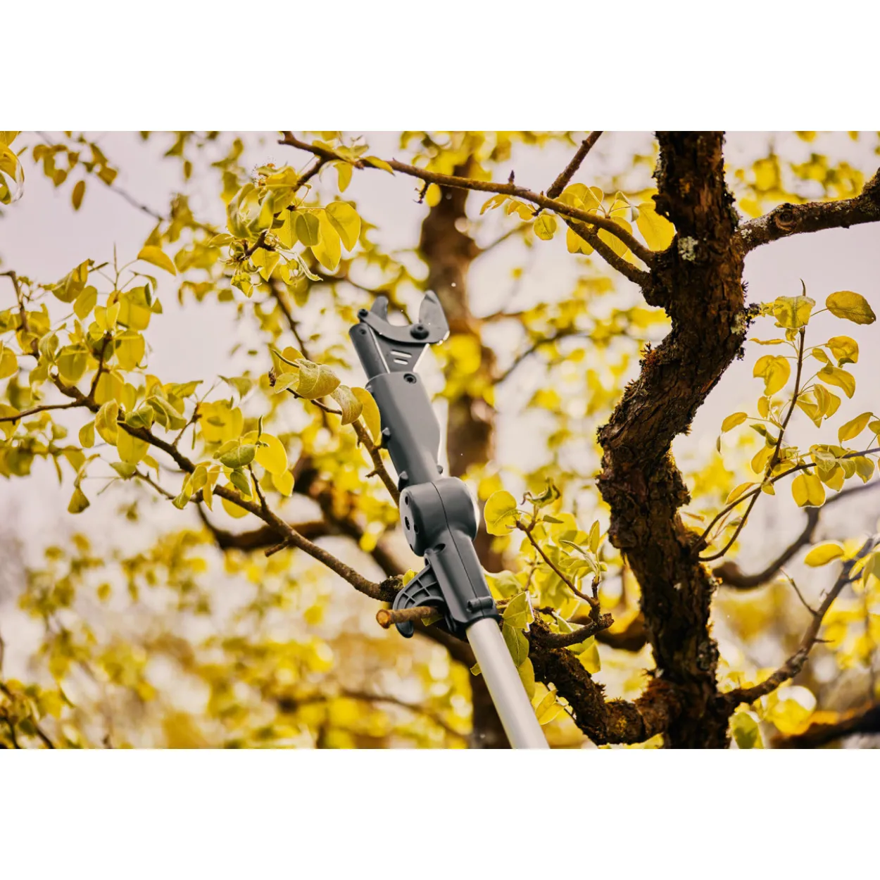 Akkuoksaleikkuri Gardena teleskooppi HighCut 360/18V P4A