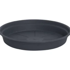Alunen Gardenico Camelie 12 cm