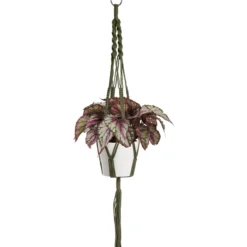 Amppelinnaru Scheurich 103 90 cm vihreä