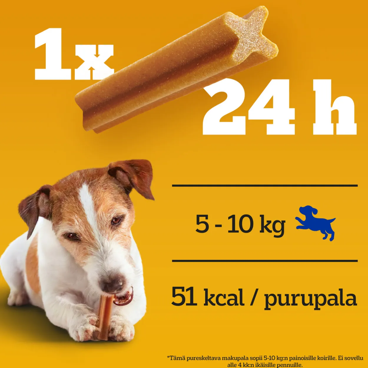Dentastix Pedigree 5 x 110 g Small