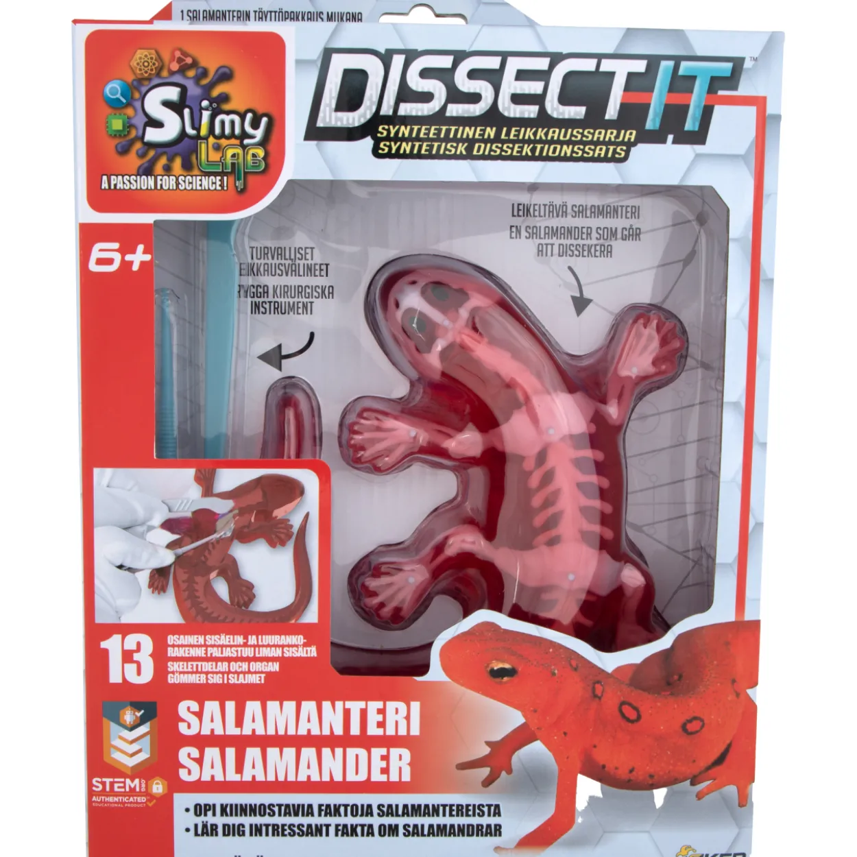 Dissect it Salamanteri