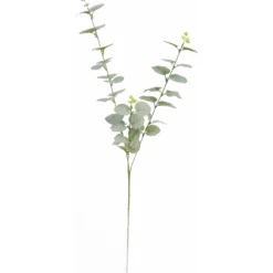 Eukalyptusoksa Kotikulta 74 cm