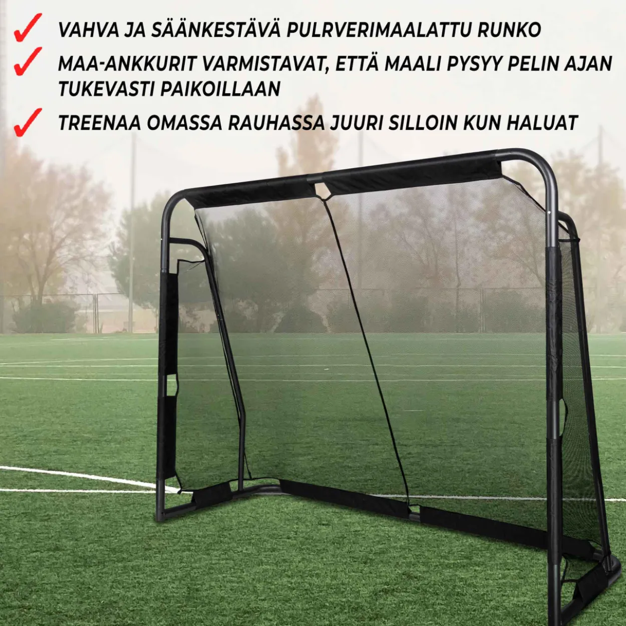 Jalkapallomaali Prosport Premium 220 x 170 x 80 cm