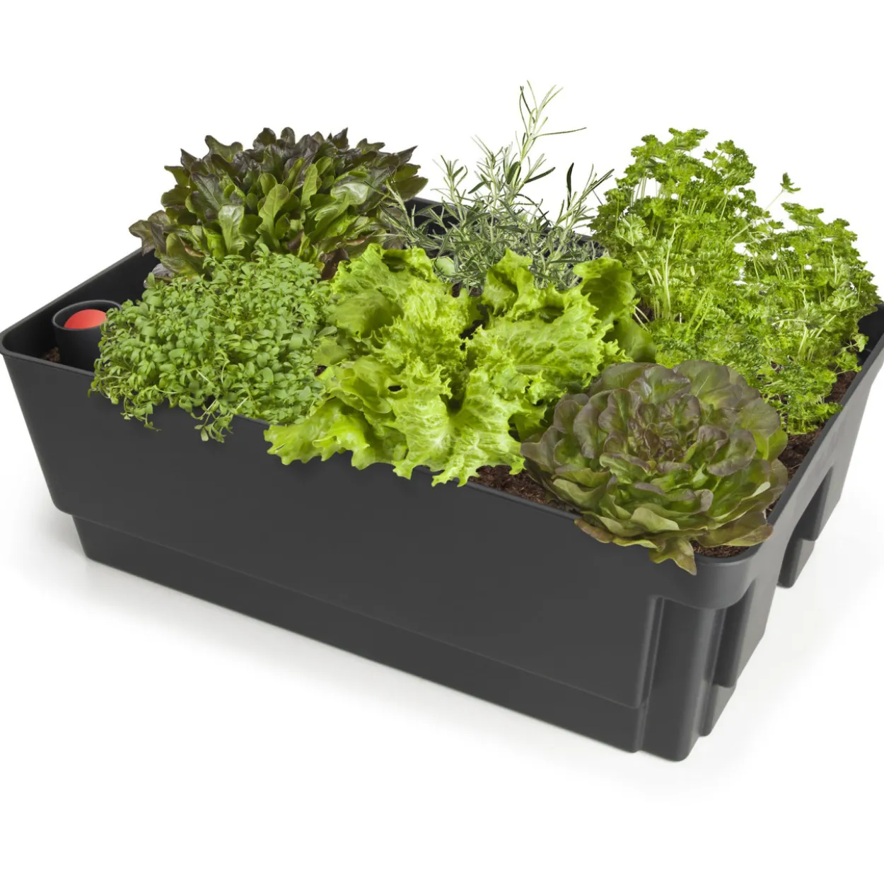 Kasvatusallas Biolan Planter