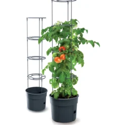Kasvatusruukku Prosperplast Tomato