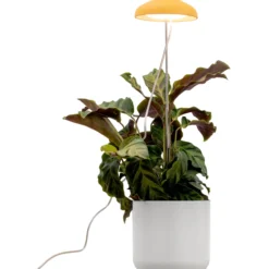 Kasvivalo Airam Iris 5W/835 240lm keltainen