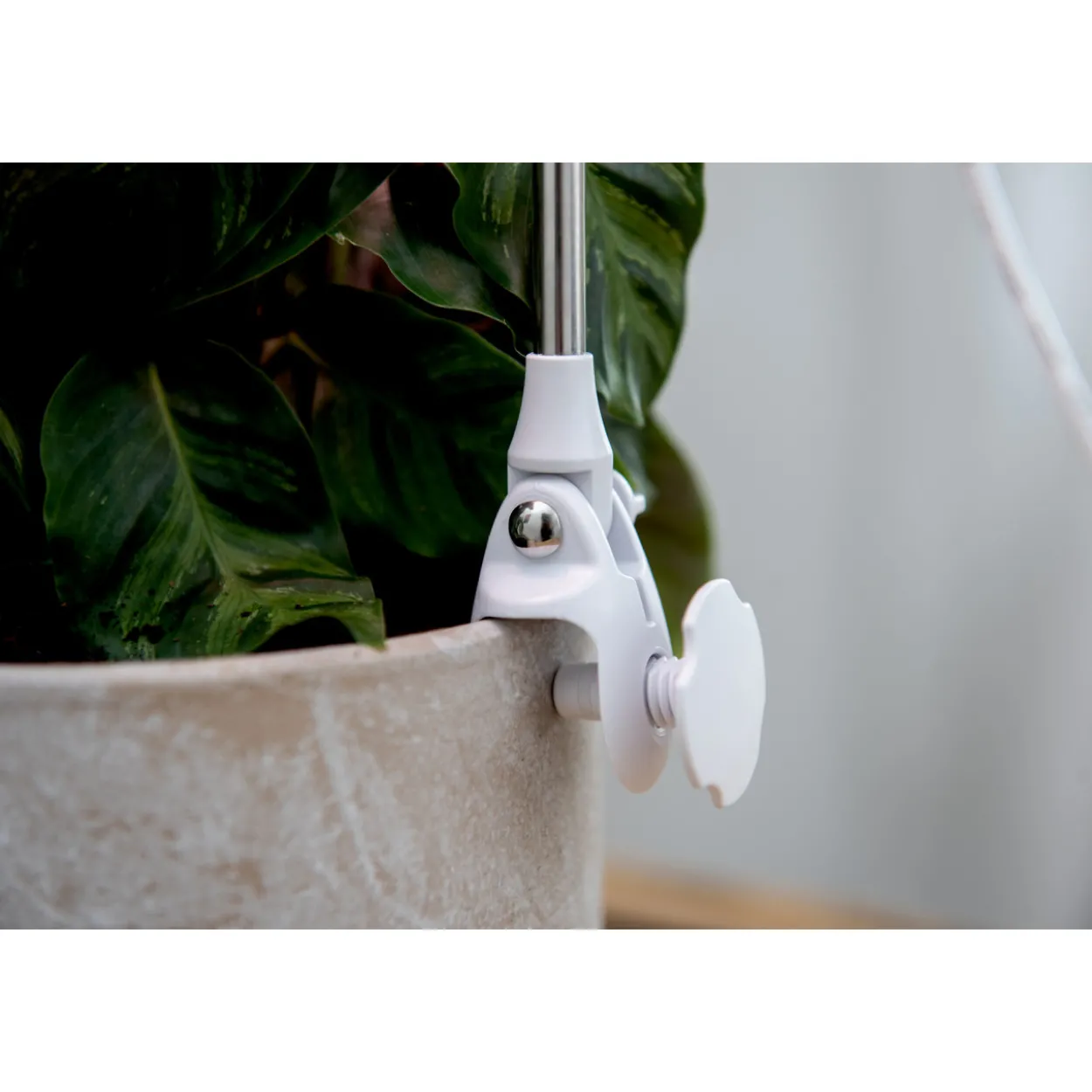 Kasvivalo Airam Rose 10E 290lm USB