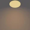 Kattovalaisin Philips Superslim CL550 SS RD 36W 27K B WV 06