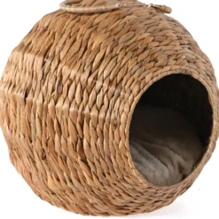 Kissan maja Jalo vesihyasintti