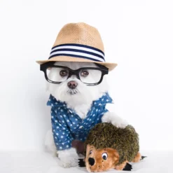 Koiran pehmolelu Outward Hound siili S