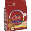 Koiranruoka Purina One 2,5 kg Medium / Maxi Adult kana & riisi