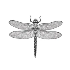 Lautasliina Kotikulta 33 x 33 cm kevät