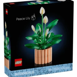 LEGO Botanicals 11504 Viirivehka