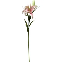Lilja Kotikulta 58 cm