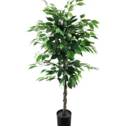 Limoviikuna Kotikulta 120 cm