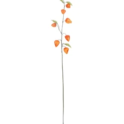 Lyhtykoiso Kotikulta 95 cm