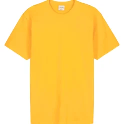 Miesten T-paita Pantoneclo