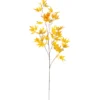 Mongolianvaahtera Kotikulta 98 cm