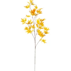 Mongolianvaahtera Kotikulta 98 cm