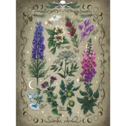 Palapeli Ravensburger 1000 palaa Toxic Plants
