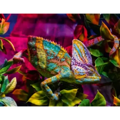 Palapeli Ravensburger 500 palaa Chameleon