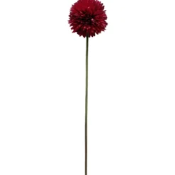 Pallokrysanteemi Kotikulta 62 cm