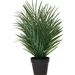 Palmu Kotikulta 48 cm