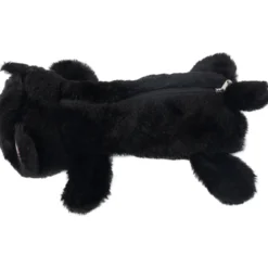 Penaali Iisi kissa
