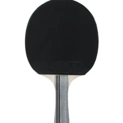 Pöytätennismaila Double Fish DF-01