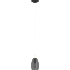 Riippuvalaisin EGLO Batista 40W Ø12cm mattaharmaa/harjattu messinki