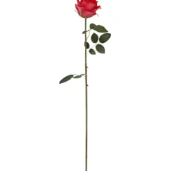 Ruusu Kotikulta 59 cm punainen