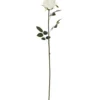 Ruusu Kotikulta 59 cm valkoinen