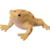 Sammakkolelu HTI Freaky Frogs