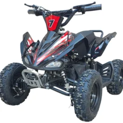 Sähkömönkijä Swoop Adventurer 1000 W