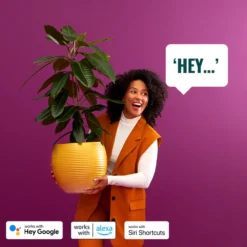 Ulkovalaisin WiZ ELPAS 12V älypylväsvalaisimien aloituspakkaus