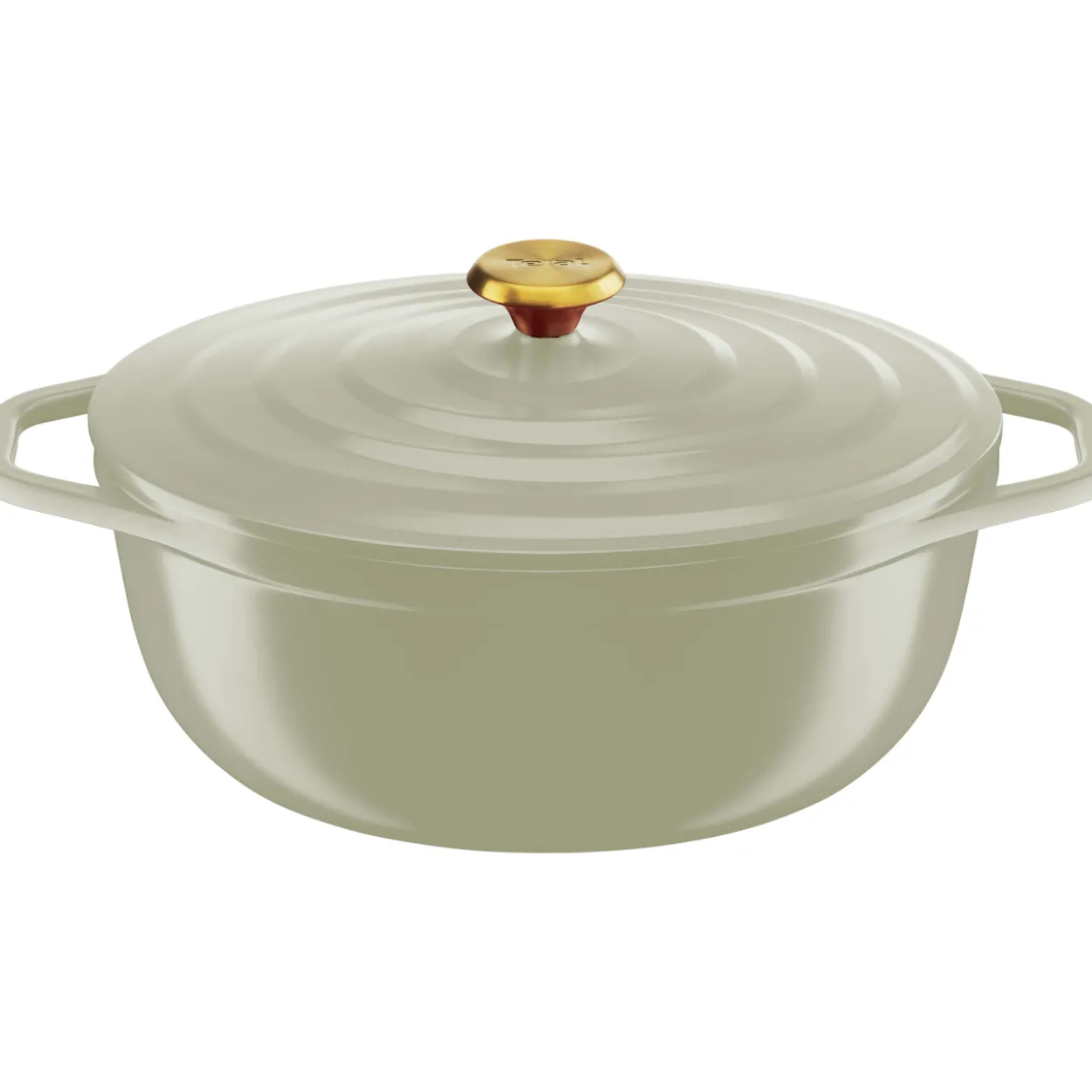 Valualumiinipata Tefal 5,7 l Air ovaali