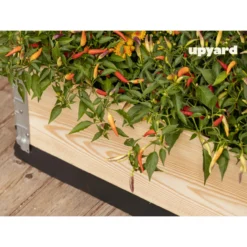 Viljelylaatikko Upyard Gardenbox 120x80 cm, käsittelemätön
