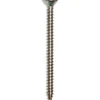 Yleisruuvi Arctic Marine DIN7983-C 4,2x16 A4